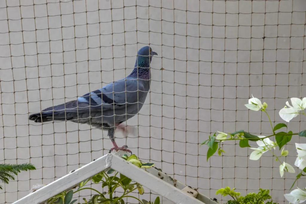 Rope access Bird Netting 01